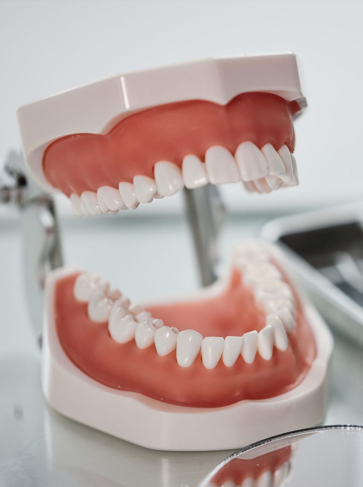 Jaw model with dental tools