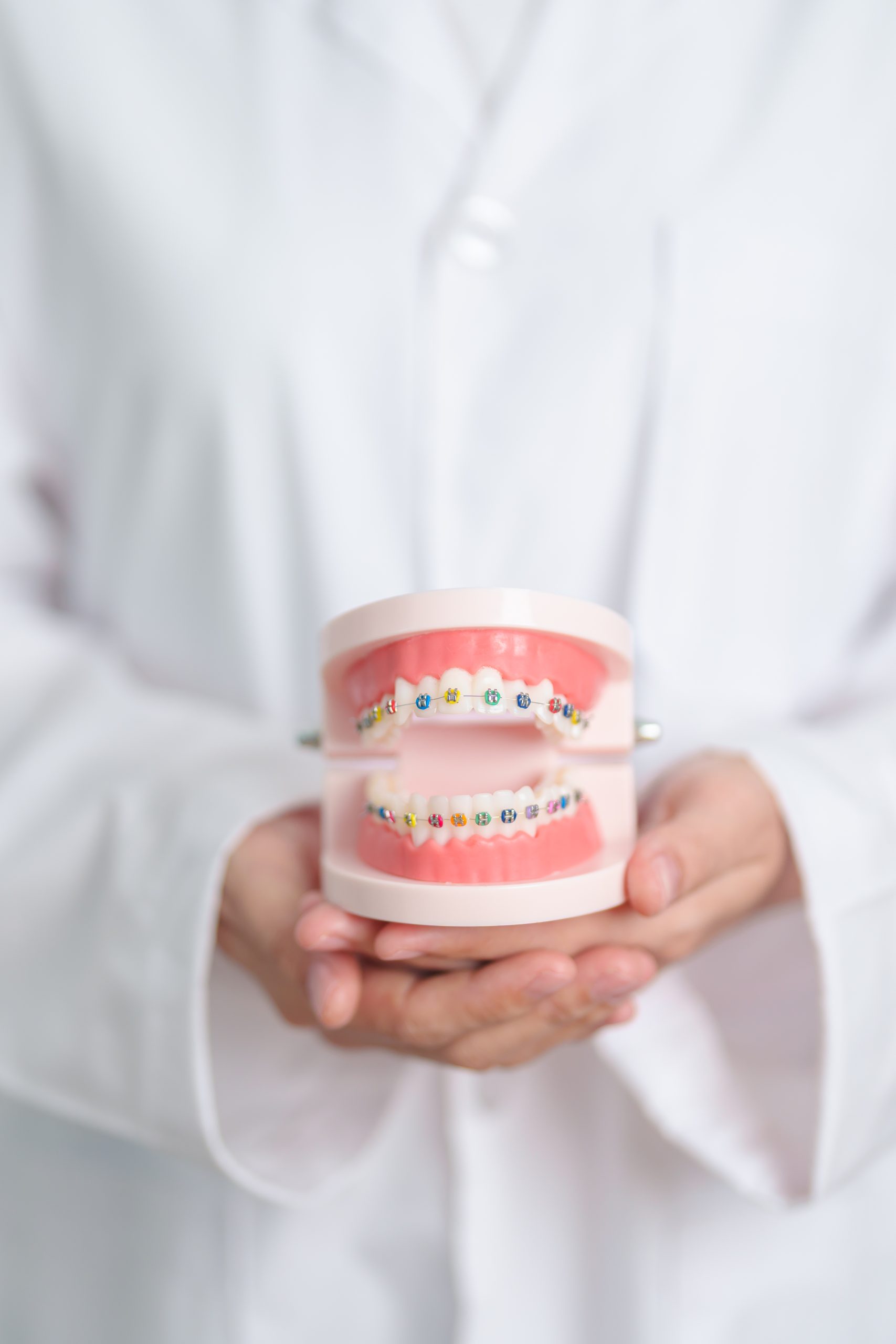 Dentist holding orthodontic tooth model with bracket