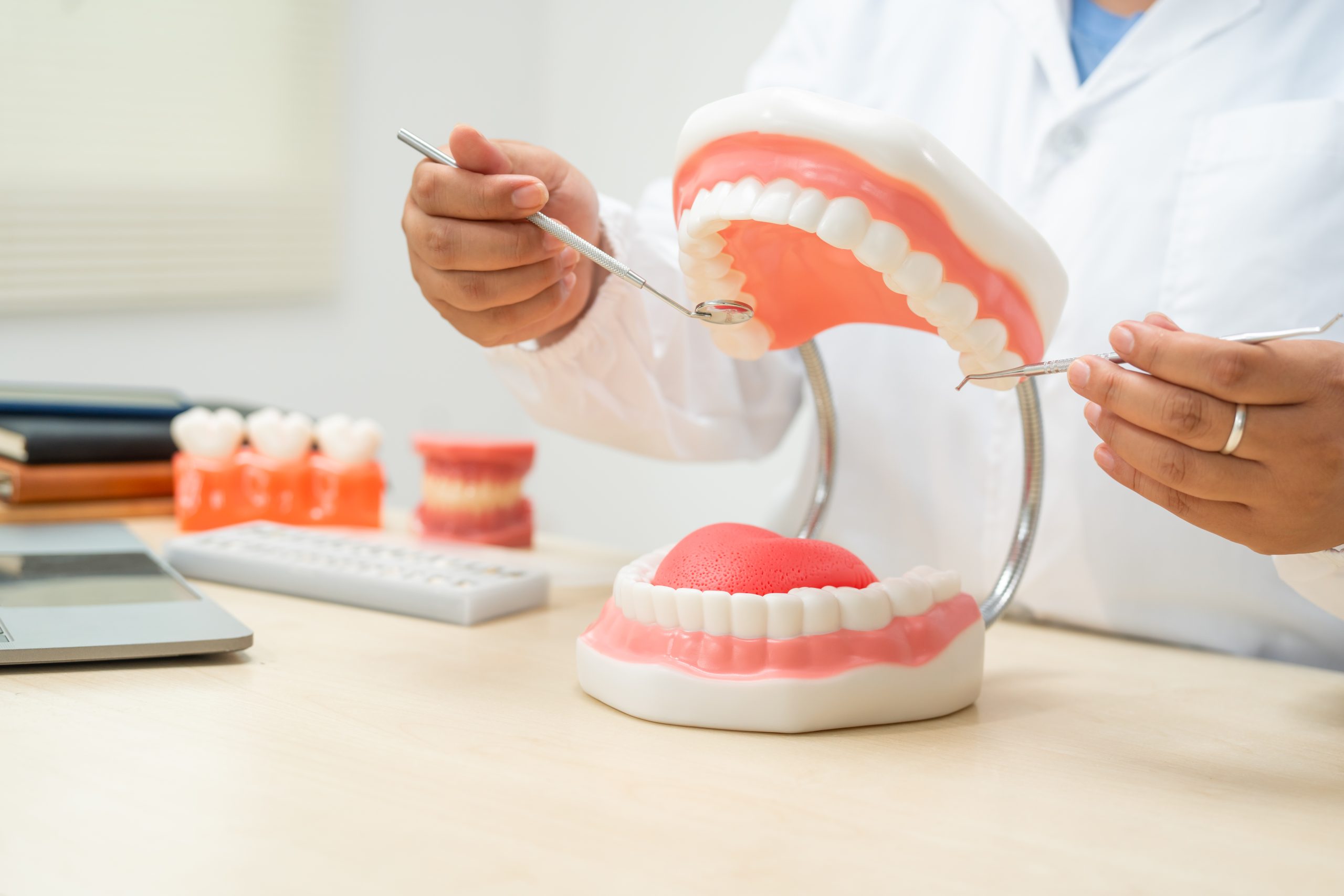 Dentist consulting with tooth model