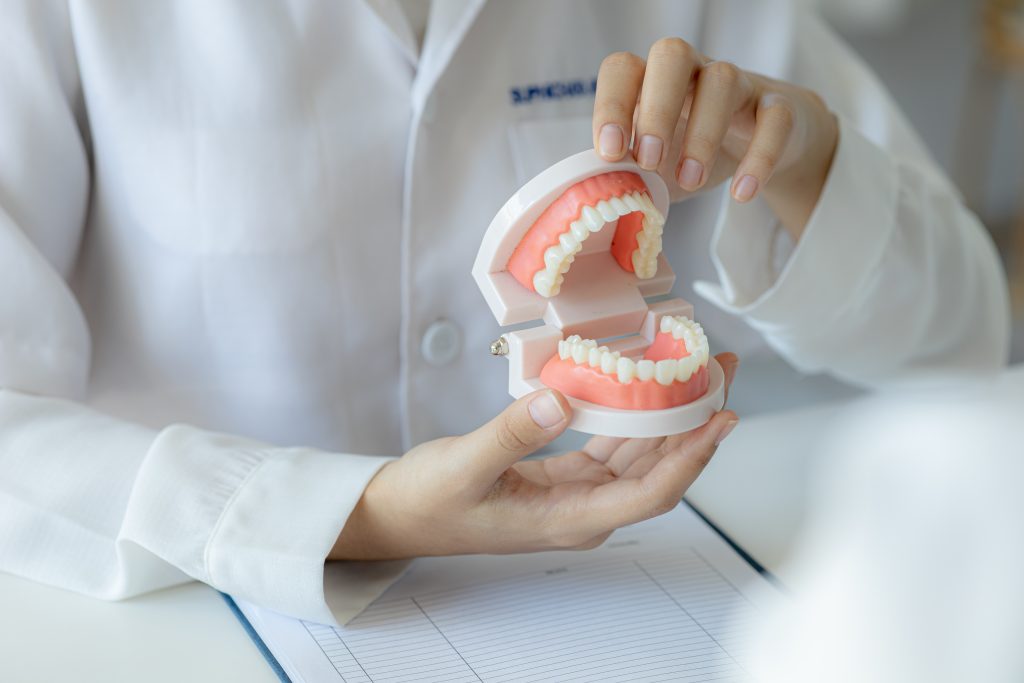 Dentist holding dental models